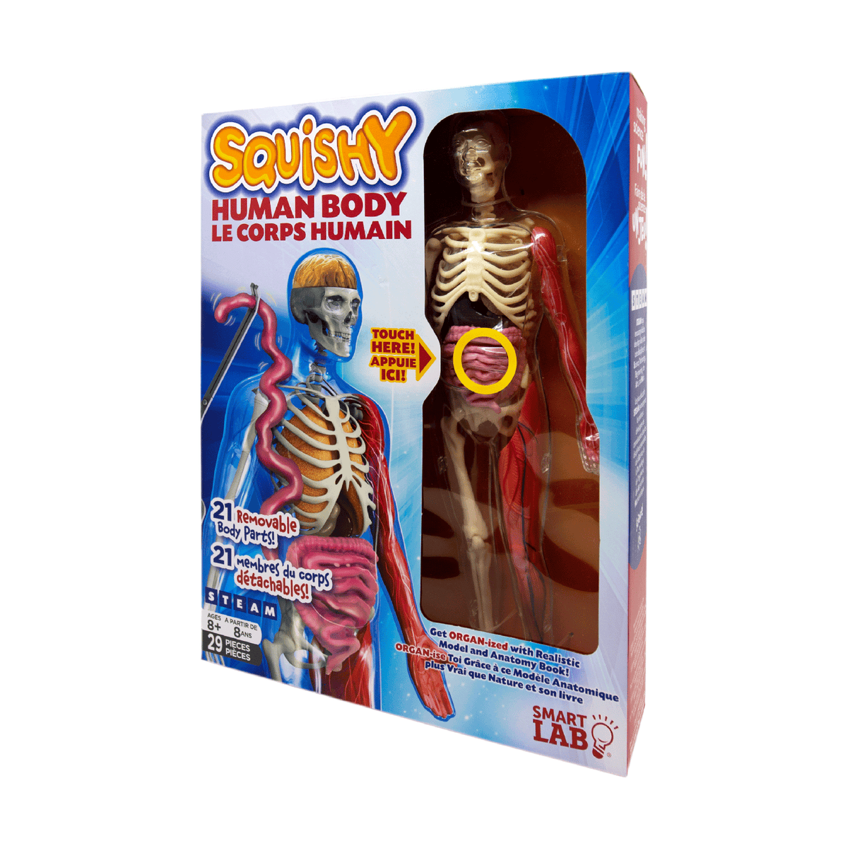 Organic science 2024 squishy human body