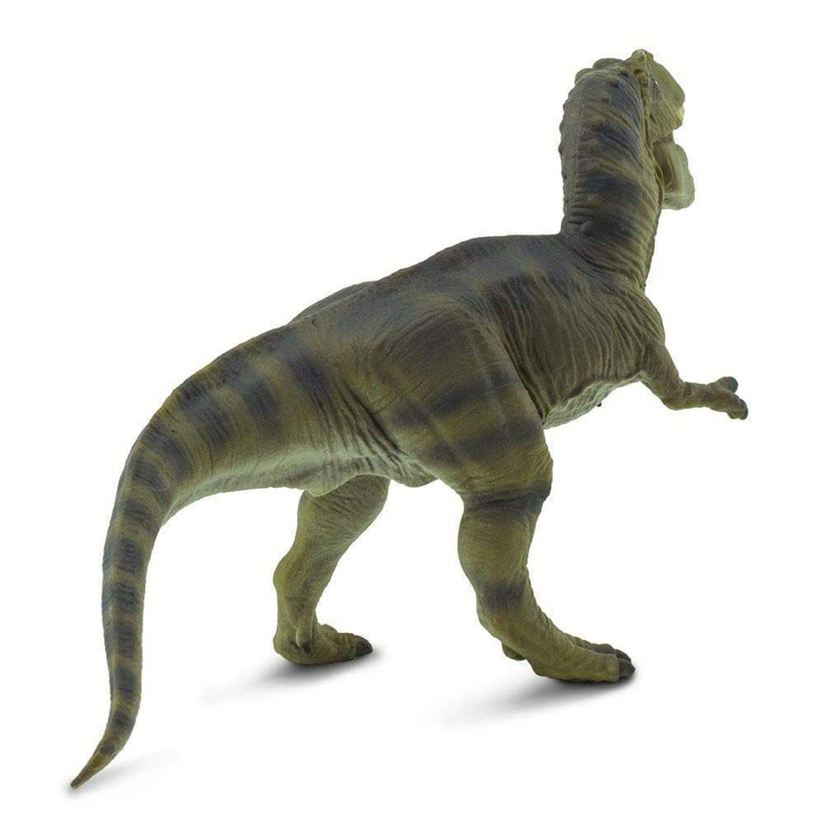 WILD SAFARI'S TYRANNOSAURUS REX (GREY) – Science World Science Store