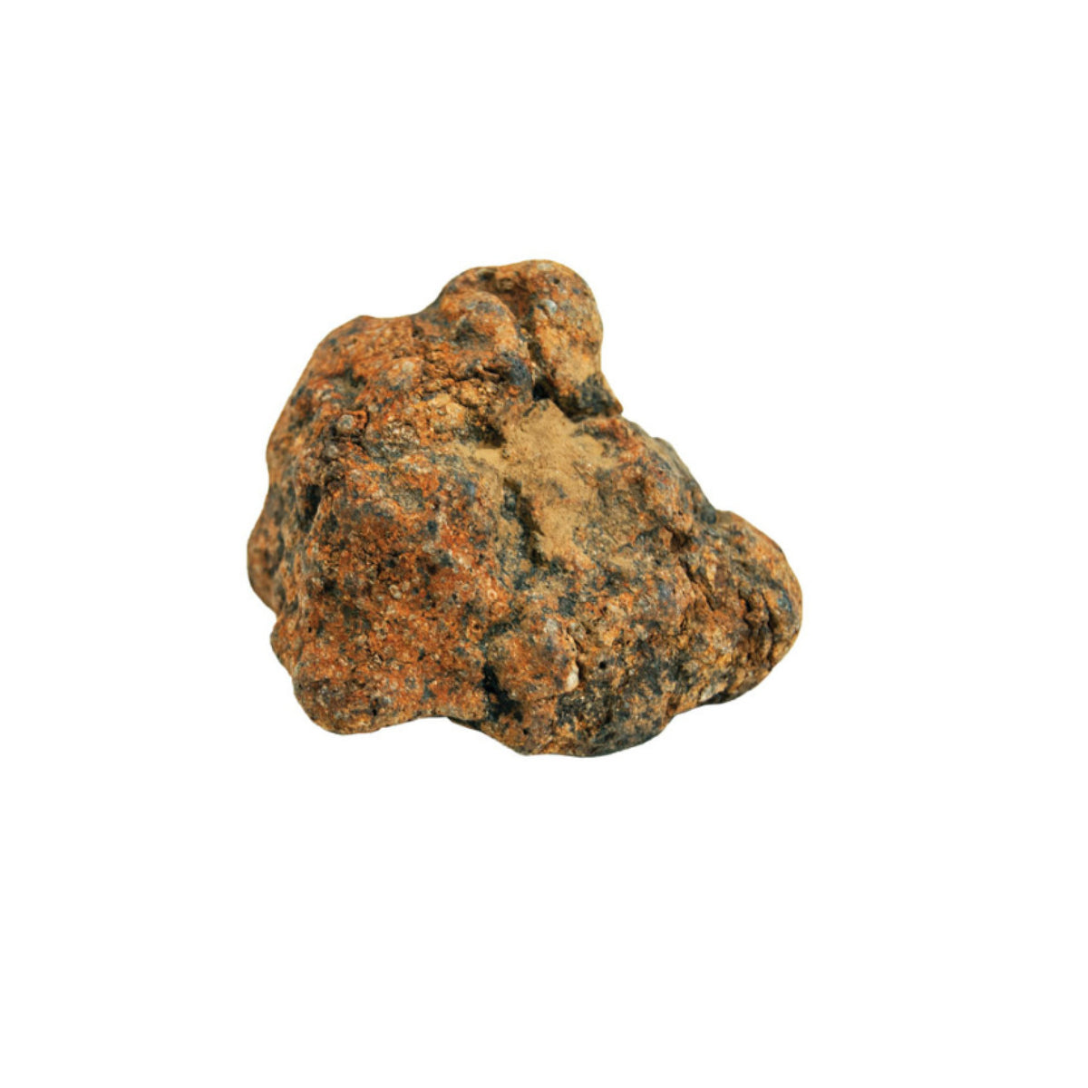 MAGIC SPACE ROCK METEORITE – Science World Science Store