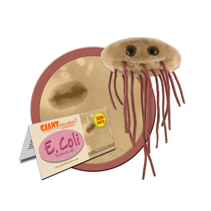 GIANT MICROBES E.COLI