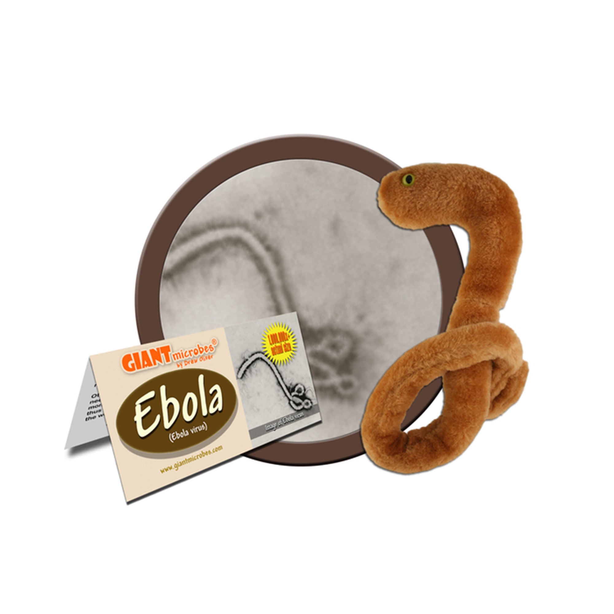 GIANT MICROBES EBOLA SCIENCE STORE AT SCIENCE WORLD Science World Science Store