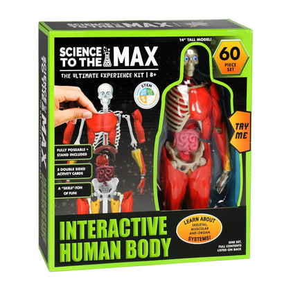 INTERACTIVE HUMAN BODY