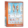 HUMAN BODY 1000 PIECE PUZZLE