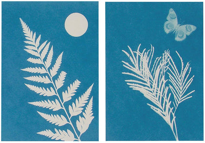 OUTDOOR DISCOVERY SOLAR PRINT REFILL PAPER