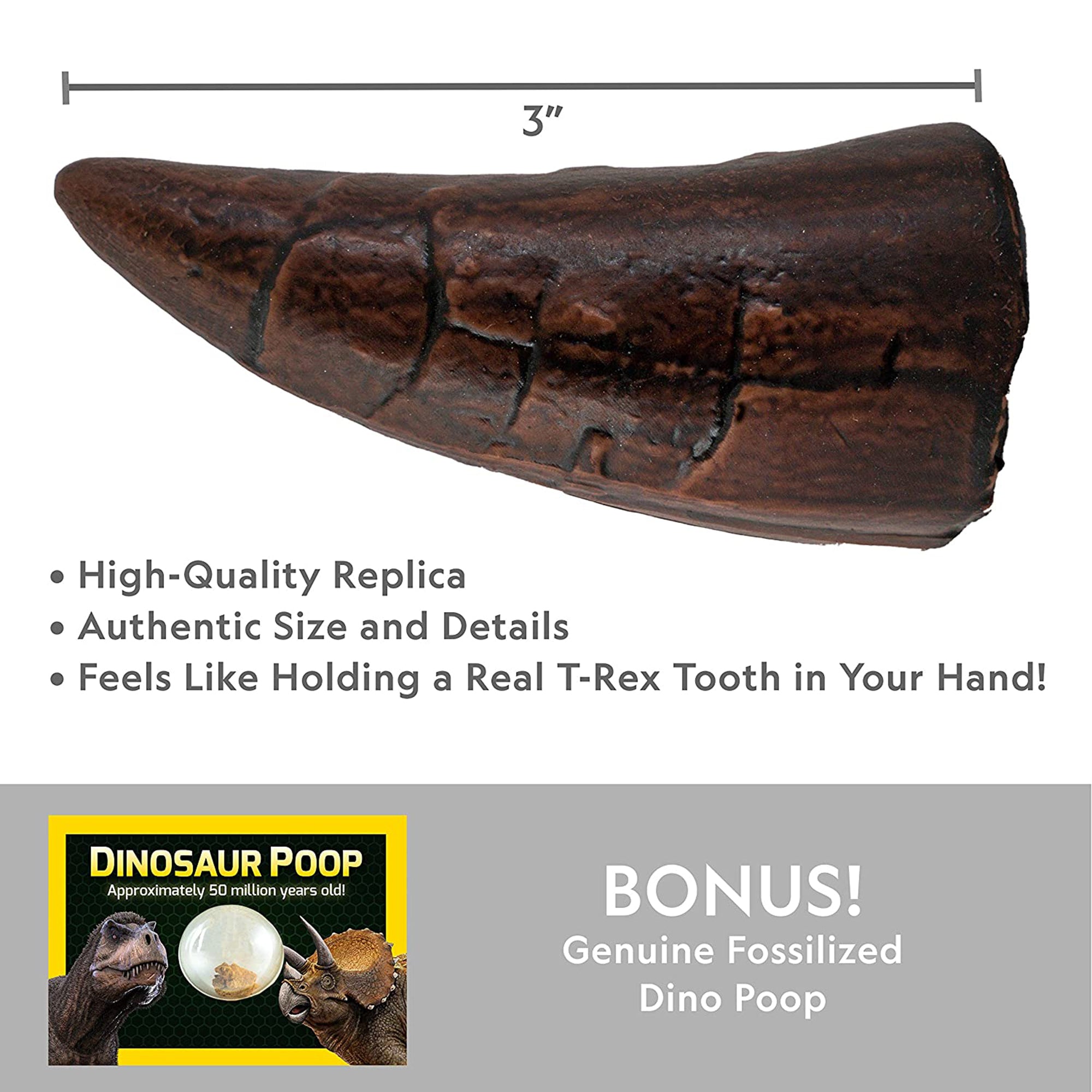 NATIONAL GEOGRAPHIC DINO FOSSIL DIG KIT