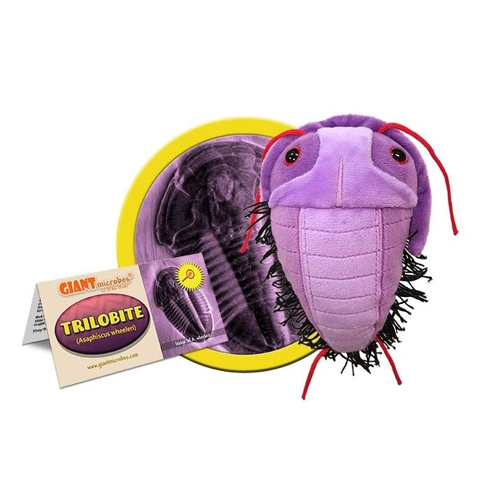 Giant microbes plush toys on sale